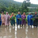 भाजपा नेता डॉ. भुवन चंद्र आर्य ने कोटाबाग के गांवों में किया व्यापक जनसंपर्क, महिलाओं संग खेत में की धान रोपाई ।